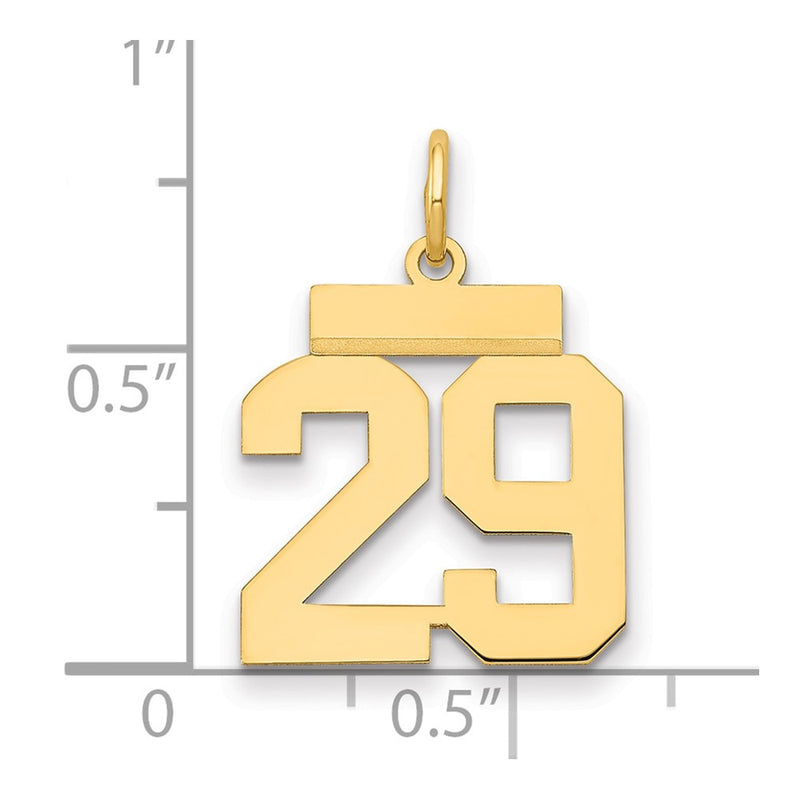 14k Yellow Gold Small Polished Number 29 Charm