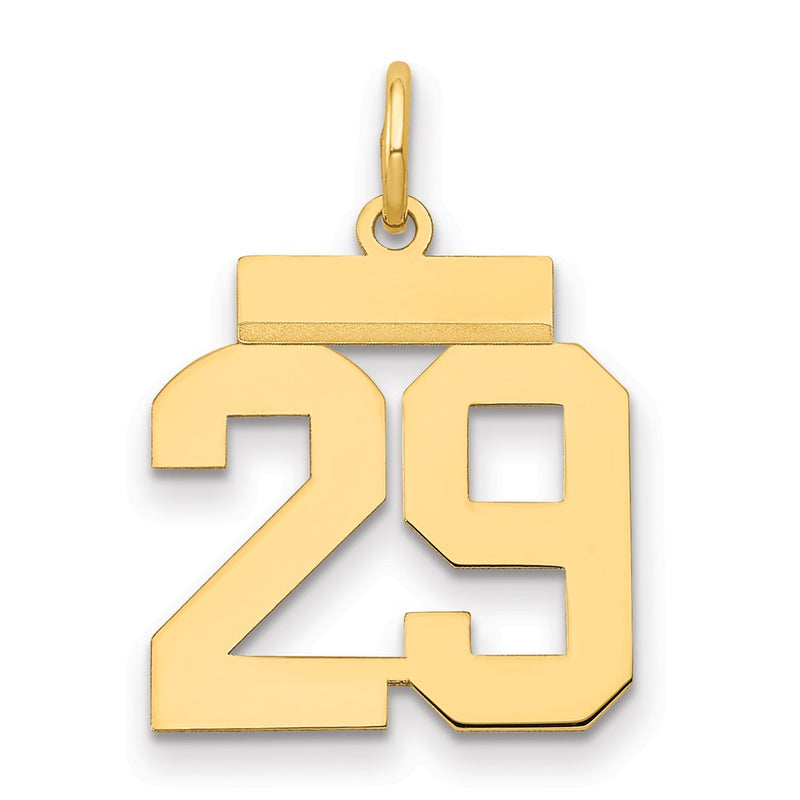 14k Yellow Gold Small Polished Number 29 Charm