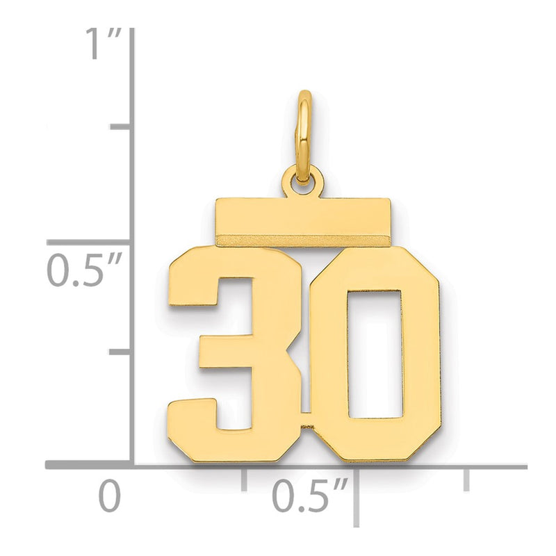14k Yellow Gold Small Polished Number 30 Charm