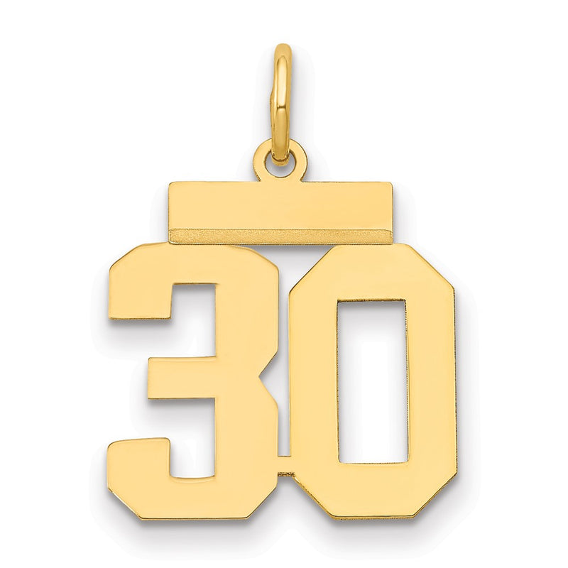 14k Yellow Gold Small Polished Number 30 Charm