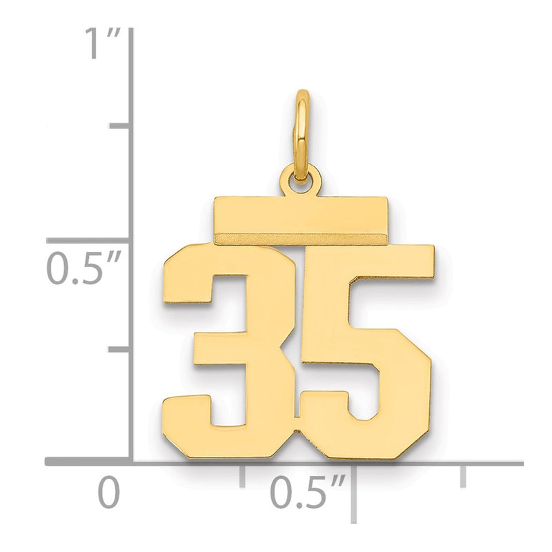 14k Yellow Gold Small Polished Number 35 Charm