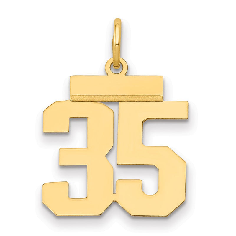14k Yellow Gold Small Polished Number 35 Charm