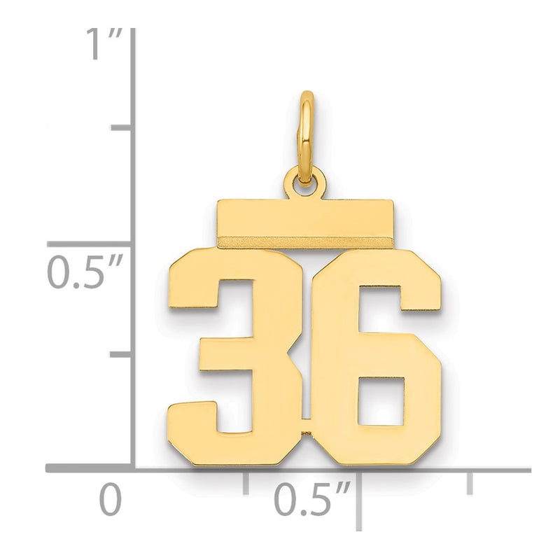 14k Yellow Gold Small Polished Number 36 Charm