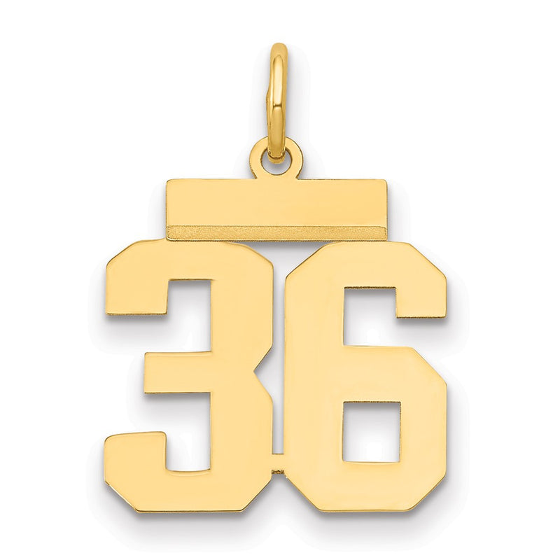 14k Yellow Gold Small Polished Number 36 Charm