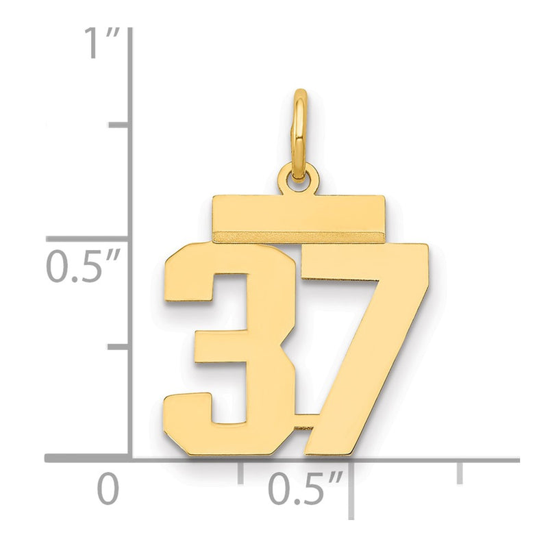 14k Yellow Gold Small Polished Number 37 Charm