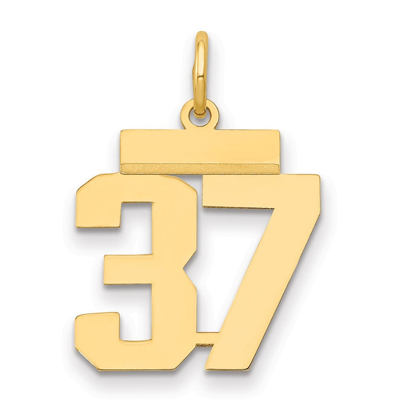14k Yellow Gold Small Polished Number 37 Charm