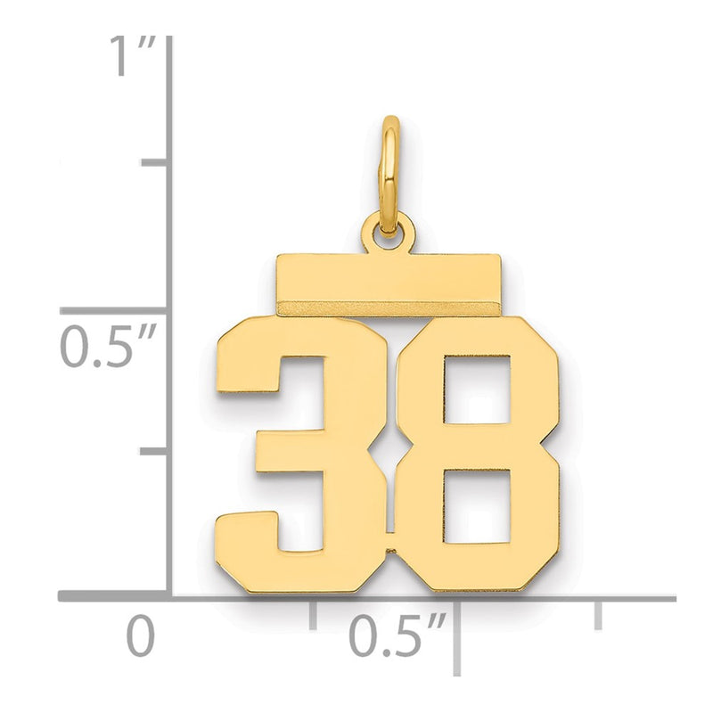 14k Yellow Gold Small Polished Number 38 Charm