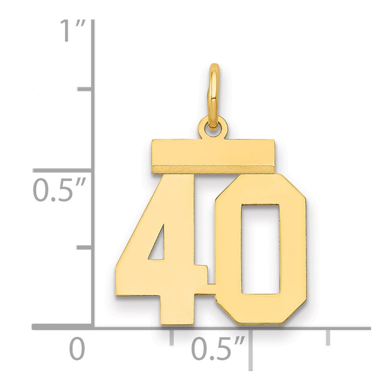 14k Yellow Gold Small Polished Number 40 Charm
