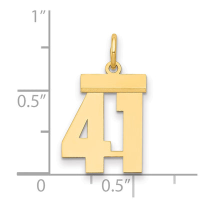 14k Yellow Gold Small Polished Number 41 Charm