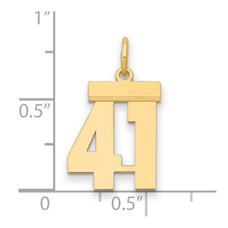 14k Yellow Gold Small Polished Number 41 Charm