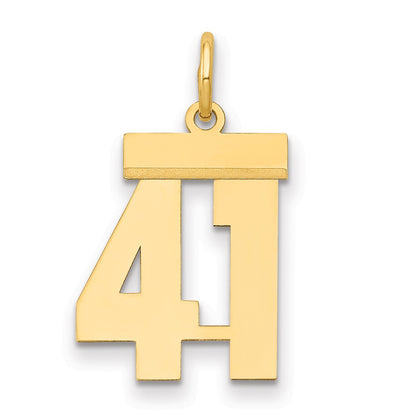 14k Yellow Gold Small Polished Number 41 Charm