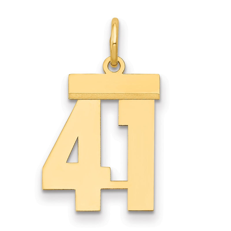 14k Yellow Gold Small Polished Number 41 Charm