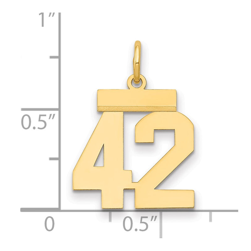 14k Yellow Gold Small Polished Number 42 Charm