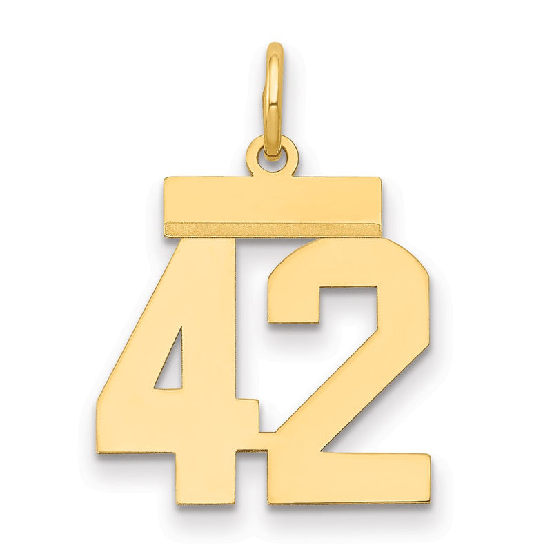 14k Yellow Gold Small Polished Number 42 Charm