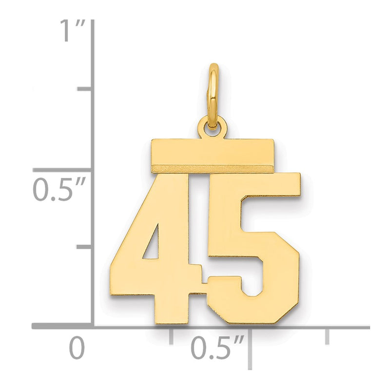 14k Yellow Gold Small Polished Number 45 Charm