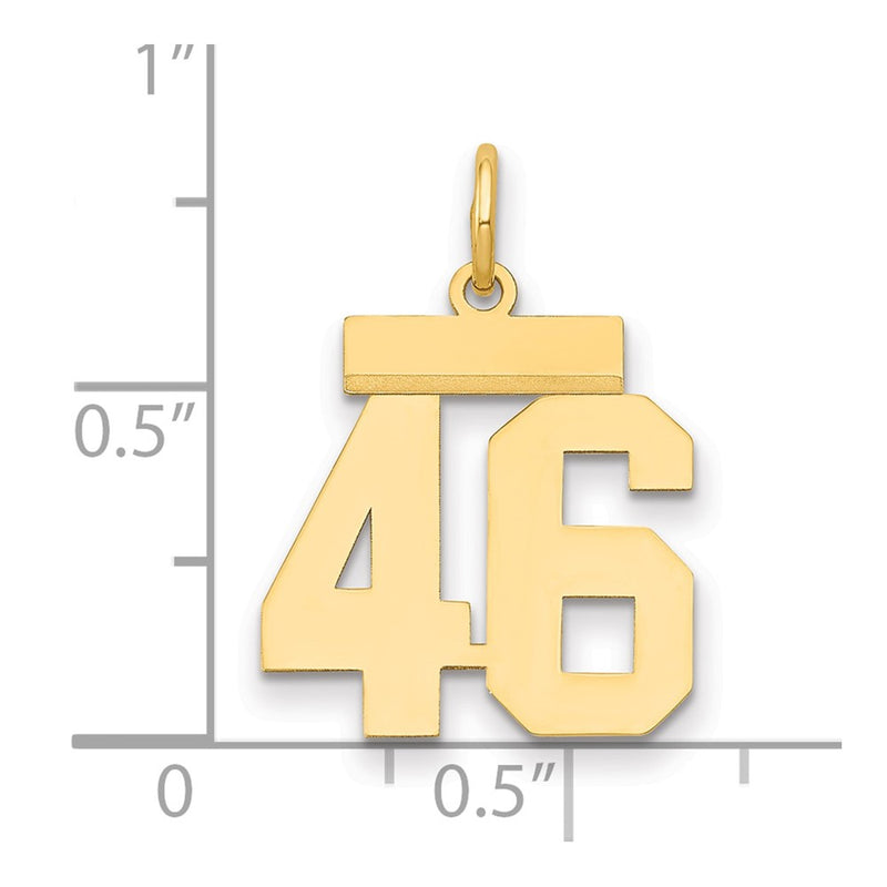 14k Yellow Gold Small Polished Number 46 Charm