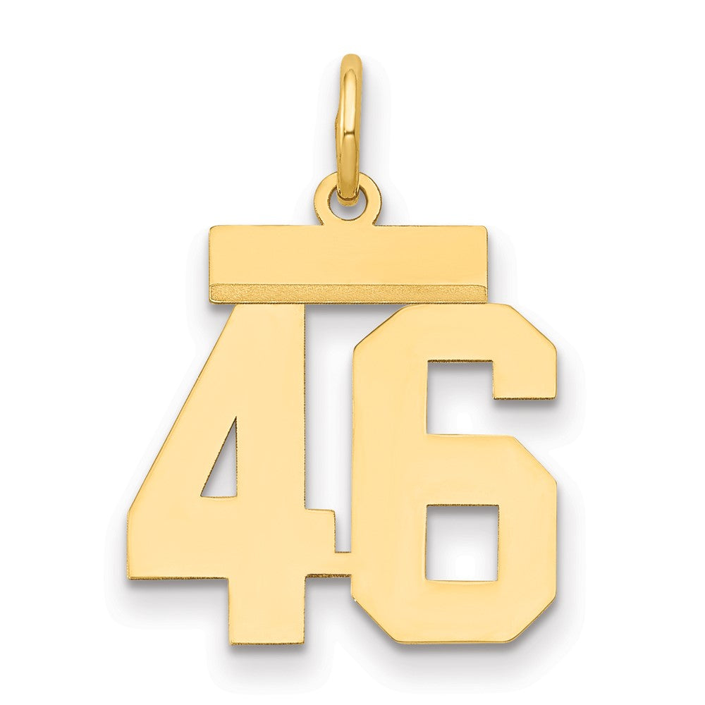 14k Yellow Gold Small Polished Number 46 Charm