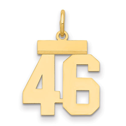 14k Yellow Gold Small Polished Number 46 Charm