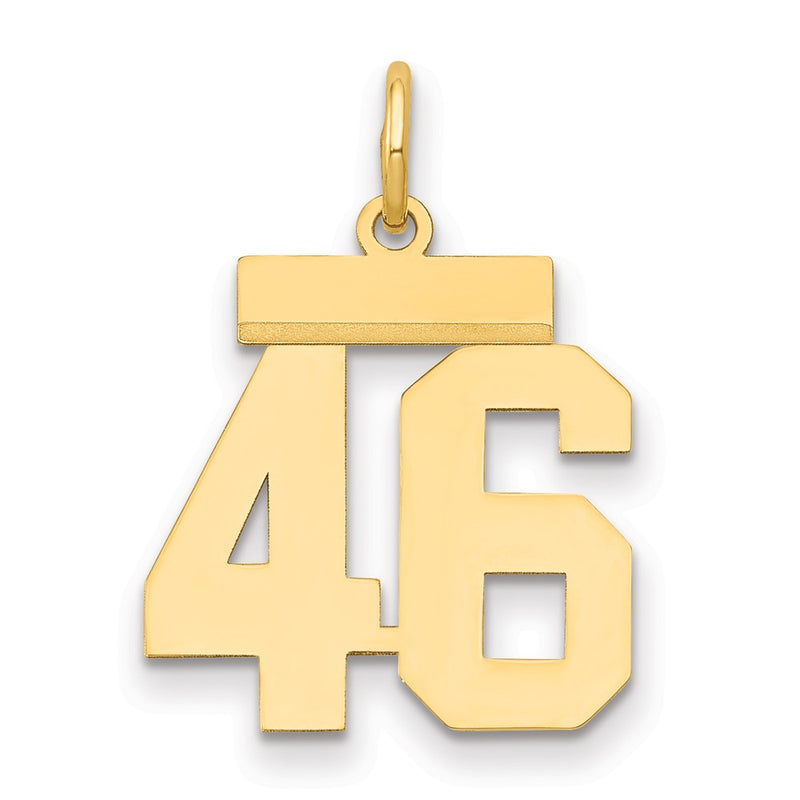 14k Yellow Gold Small Polished Number 46 Charm
