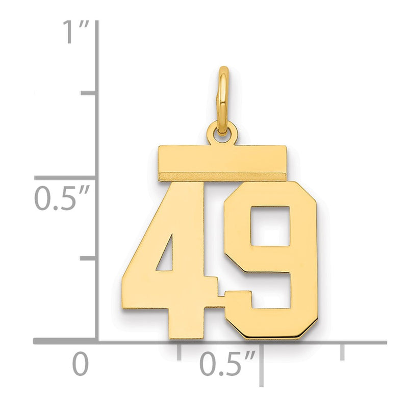14k Yellow Gold Small Polished Number 49 Charm