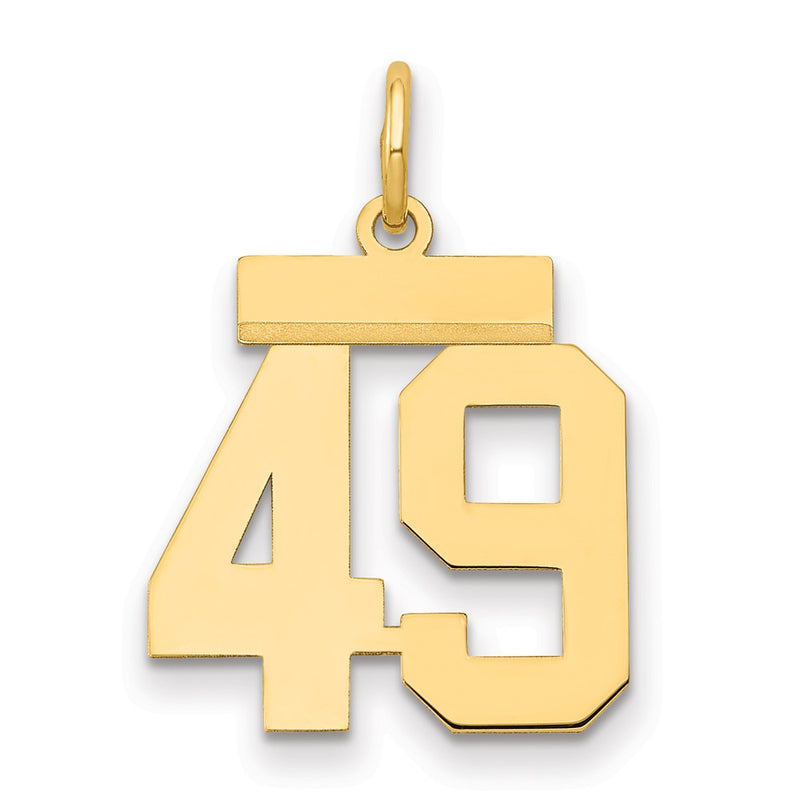 14k Yellow Gold Small Polished Number 49 Charm