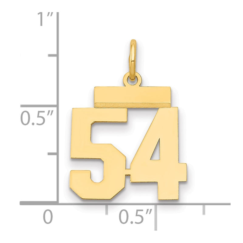 14k Yellow Gold Small Polished Number 54 Charm