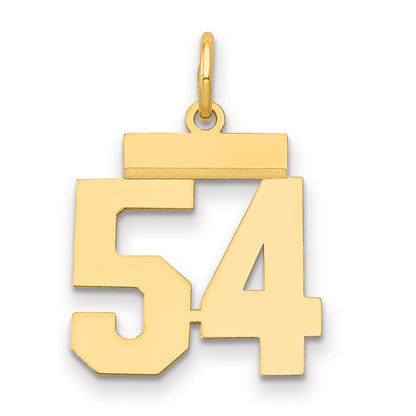 14k Yellow Gold Small Polished Number 54 Charm