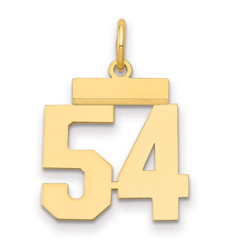 14k Yellow Gold Small Polished Number 54 Charm