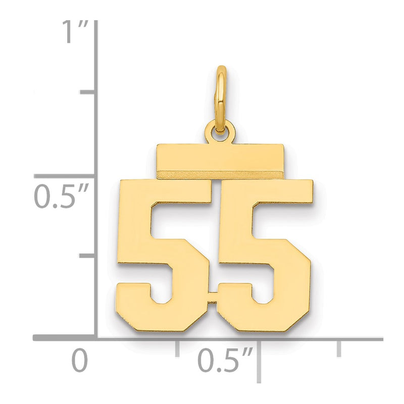 14k Yellow Gold Small Polished Number 55 Charm