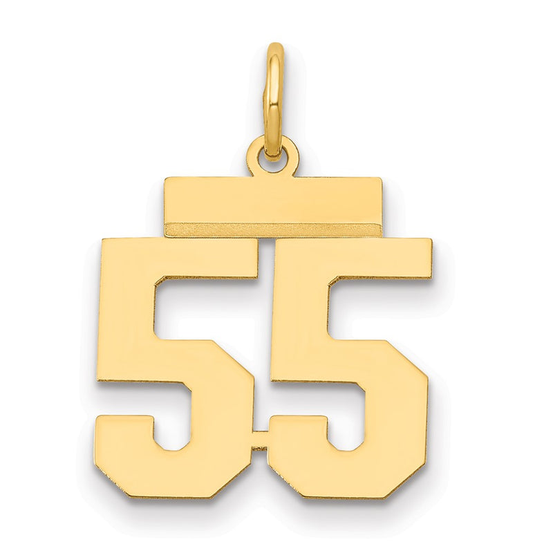 14k Yellow Gold Small Polished Number 55 Charm