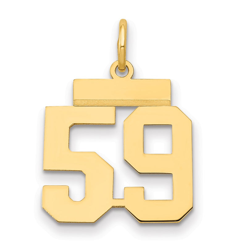 14k Yellow Gold Small Polished Number 59 Charm