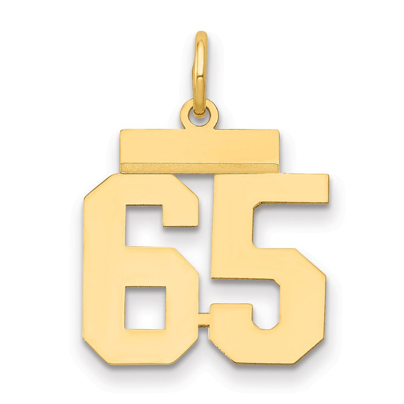 14k Yellow Gold Small Polished Number 65 Charm
