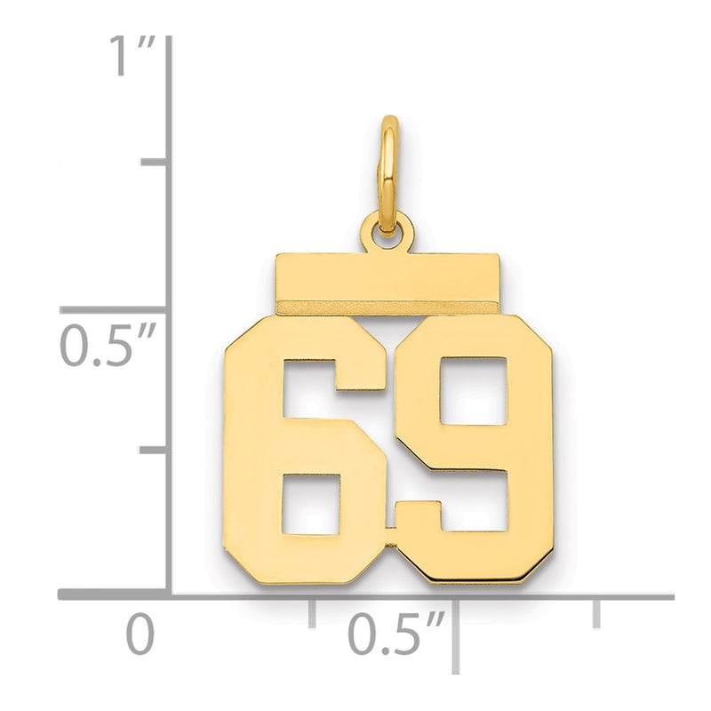 14k Yellow Gold Small Polished Number 69 Charm