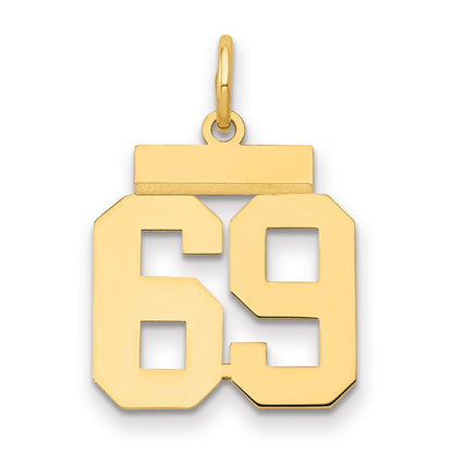 14k Yellow Gold Small Polished Number 69 Charm