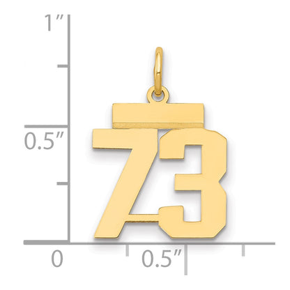 14k Yellow Gold Small Polished Number 73 Charm