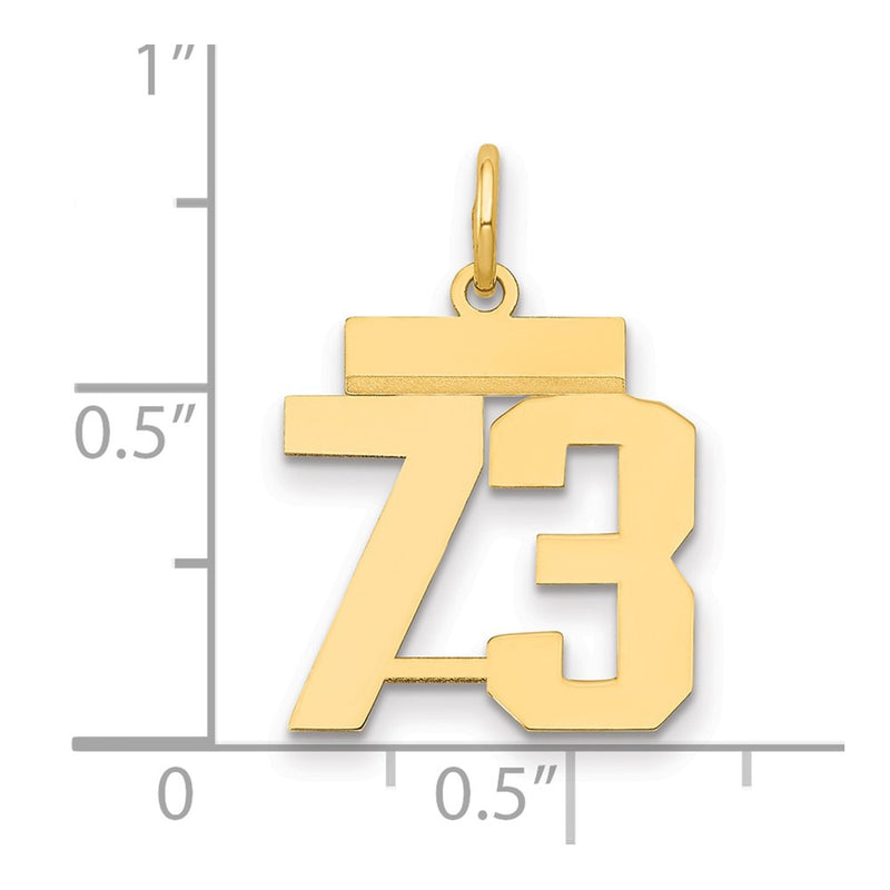 14k Yellow Gold Small Polished Number 73 Charm