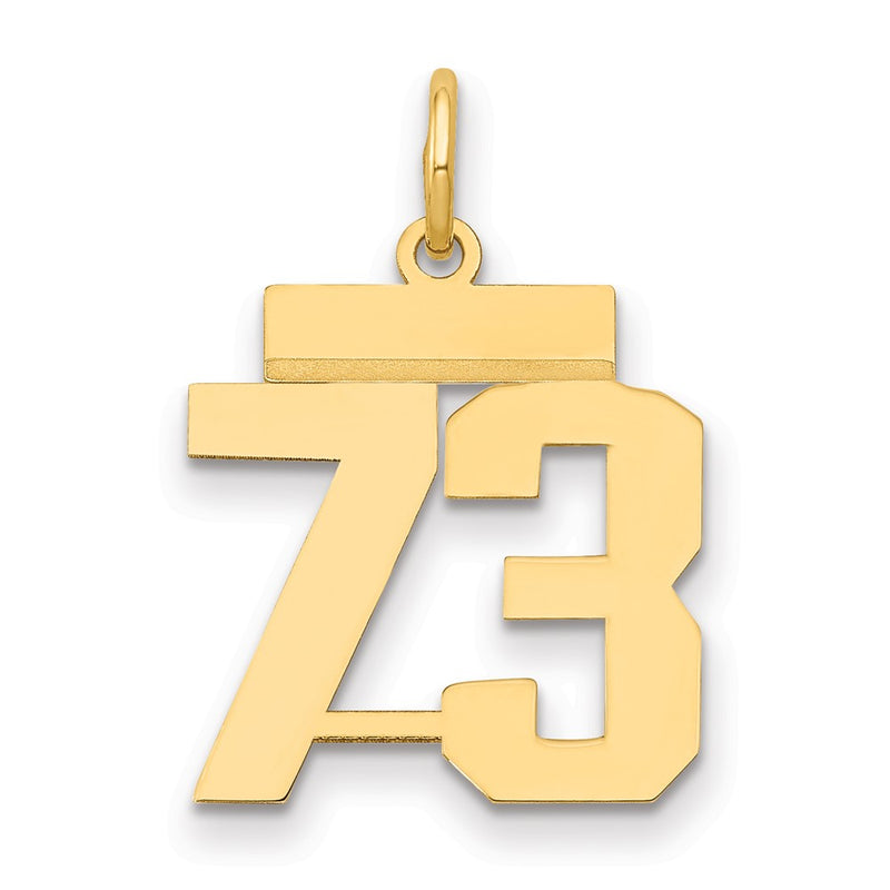 14k Yellow Gold Small Polished Number 73 Charm