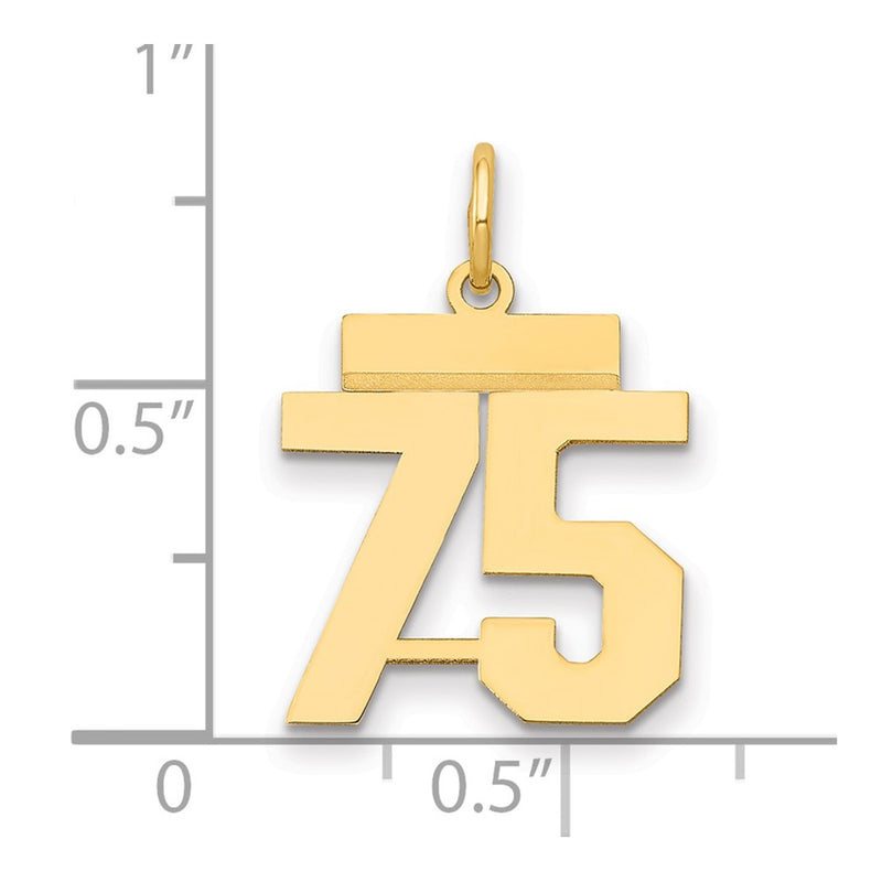 14k Yellow Gold Small Polished Number 75 Charm