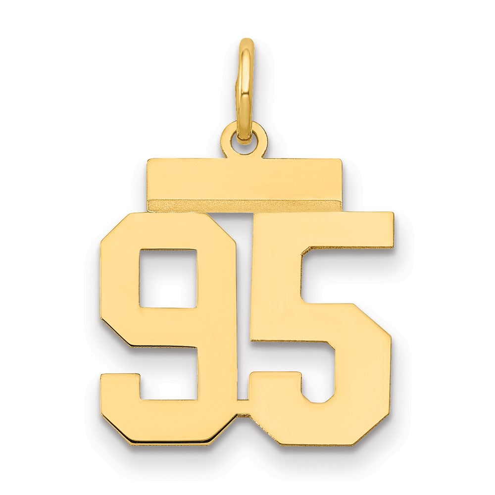 14k Yellow Gold Small Polished Number 95 Charm