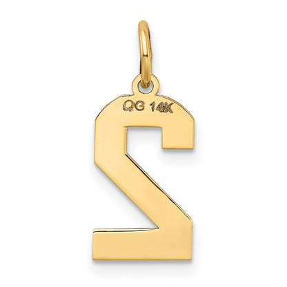 14k Yellow Gold 14k Medium Satin Number 2 Charm