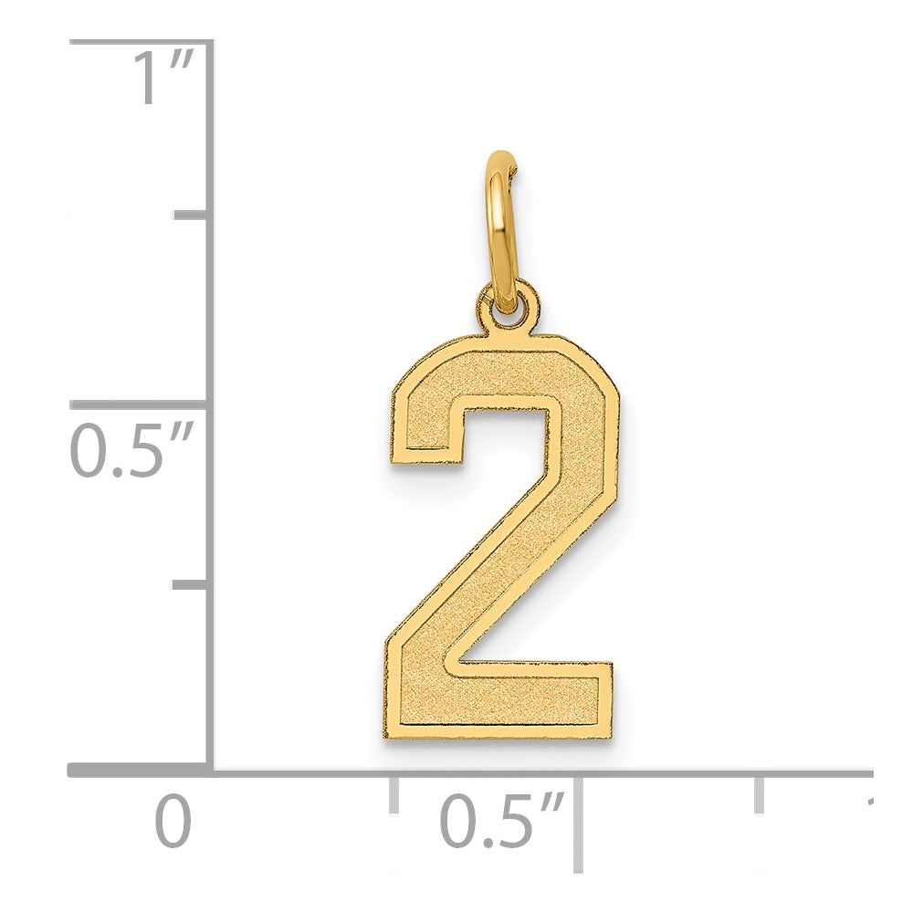 14k Yellow Gold 14k Medium Satin Number 2 Charm