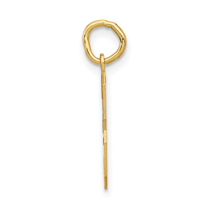 14k Yellow Gold 14k Medium Satin Number 3 Charm