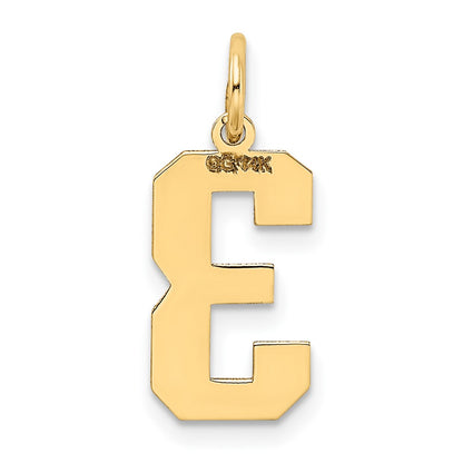 14k Yellow Gold 14k Medium Satin Number 3 Charm