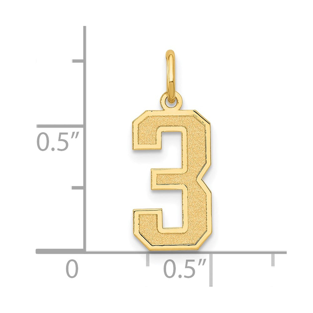 14k Yellow Gold 14k Medium Satin Number 3 Charm