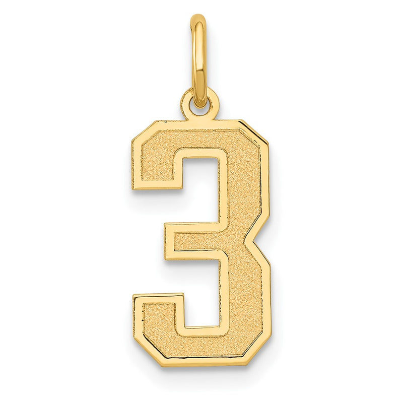 14k Yellow Gold 14k Medium Satin Number 3 Charm