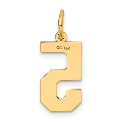 14k Yellow Gold 14k Medium Satin Number 5 Charm