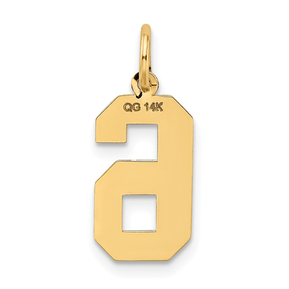 14k Yellow Gold 14k Medium Satin Number 6 Charm