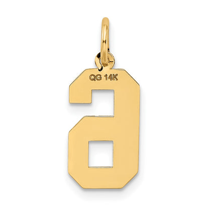 14k Yellow Gold 14k Medium Satin Number 6 Charm