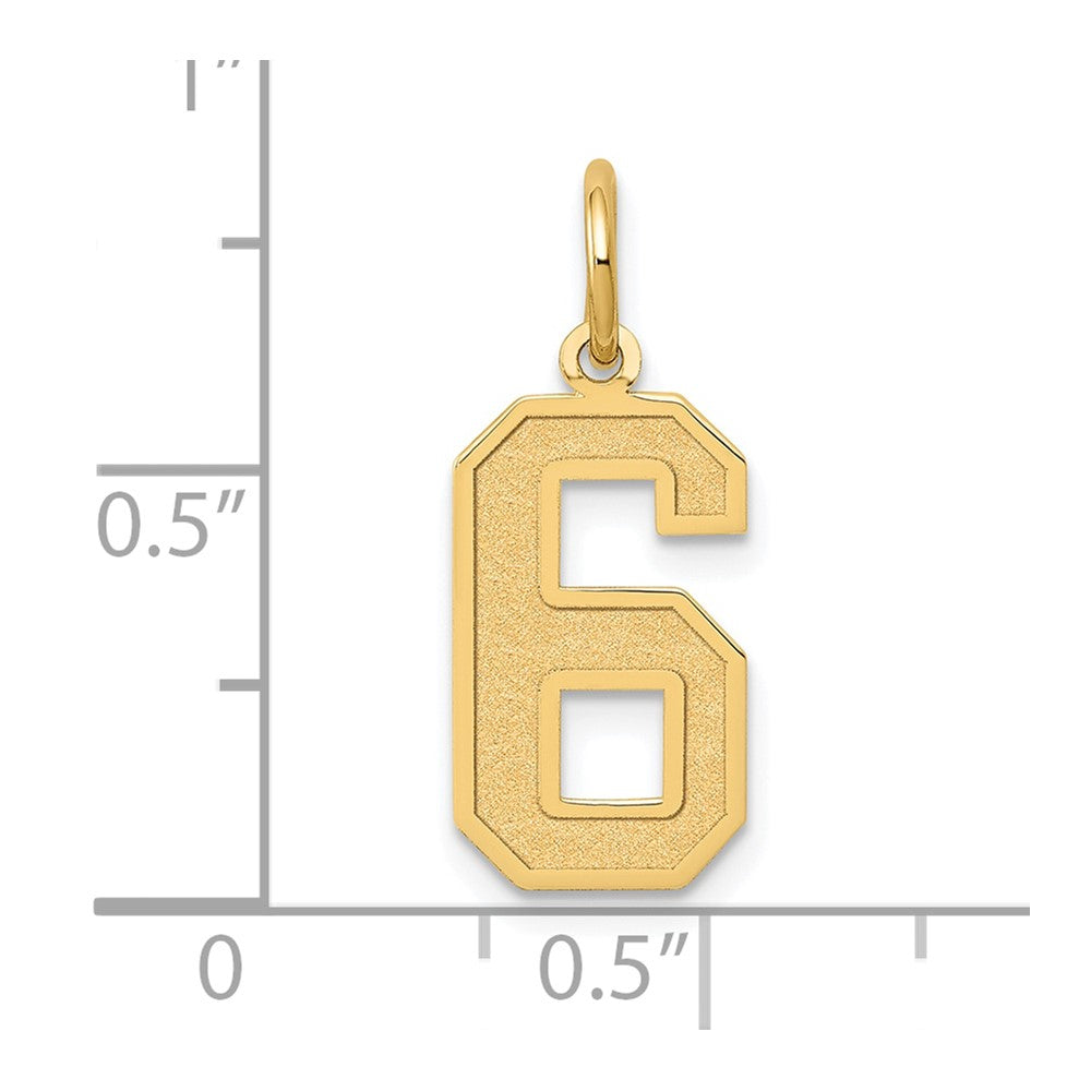 14k Yellow Gold 14k Medium Satin Number 6 Charm