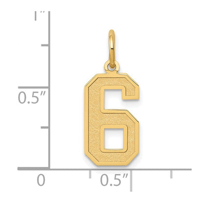 14k Yellow Gold 14k Medium Satin Number 6 Charm